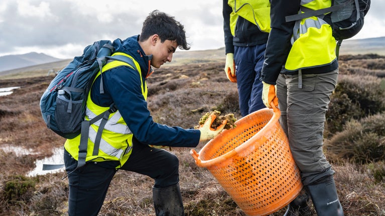 Youth from the Urdd collecting sphagnum moss on the Migneint, Eryri (Snowdonia)